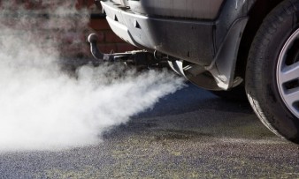 Вредата от полените при взаимодействието им с изпарения от дизелово гориво EcoSapiens.bg
