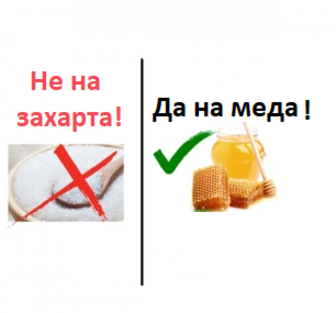 Мед вместо захар EcoSapiens.bg