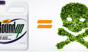 За вредата от използването на хербицида Раундъп (Roundup)